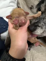 processed/cec56a73-726e-422e-b172-8cd1d9427c22/listing/24131096-9777-4ee6-bfe5-1a3edf99425a/d9ebcad7-461e-4105-8a45-bda90d1111b3