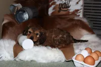 processed/cec56a73-726e-422e-b172-8cd1d9427c22/listing/55aba474-7cbb-4e95-8865-0f2e0d27dd31/0d6a4afe-e6af-4d5b-b157-3c5b4ffe9171