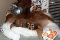 processed/cec56a73-726e-422e-b172-8cd1d9427c22/listing/55aba474-7cbb-4e95-8865-0f2e0d27dd31/6957fdcc-95c6-41eb-b196-450d48a122b0