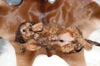 processed/cec56a73-726e-422e-b172-8cd1d9427c22/listing/55aba474-7cbb-4e95-8865-0f2e0d27dd31/8312f066-7923-42dc-a19b-c82655c72f53