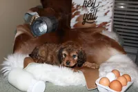 processed/cec56a73-726e-422e-b172-8cd1d9427c22/listing/55aba474-7cbb-4e95-8865-0f2e0d27dd31/86ea4e9a-e117-4d99-8b64-6978a0f35f7f