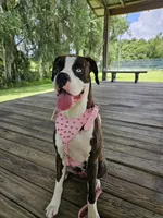 processed/ced517da-667a-46fd-ae73-7cadbdf9f91a/facility/4bf0b5c5-c11d-4f2a-82fa-f09e26329c8b