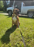 processed/ced517da-667a-46fd-ae73-7cadbdf9f91a/facility/52e1bcbb-8132-4d0a-9b94-c0fde83afe3c