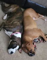 processed/ced517da-667a-46fd-ae73-7cadbdf9f91a/facility/6f4d246f-da87-43ae-b877-fff9a647587c