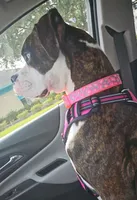 processed/ced517da-667a-46fd-ae73-7cadbdf9f91a/facility/7481bd23-e63e-4981-bde6-21a71c9ea715