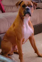 processed/ced517da-667a-46fd-ae73-7cadbdf9f91a/facility/b2099816-bb4d-4c02-ad83-2deafdf92c69