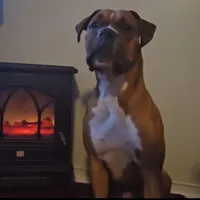 processed/ced517da-667a-46fd-ae73-7cadbdf9f91a/facility/fc946ae0-cb6d-4c45-a462-e9683db6f1be