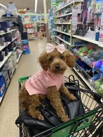 processed/ced624f4-6c3b-4545-824d-467a06850559/facility/3c05ef91-bc70-4443-bd5b-6d45c92506d0