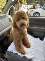 processed/ced624f4-6c3b-4545-824d-467a06850559/facility/43bb7340-6b6a-41a9-98b2-0270fbe7e29f