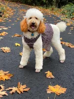 processed/ced624f4-6c3b-4545-824d-467a06850559/facility/5a401344-15e1-439d-bf63-50885fda4f10