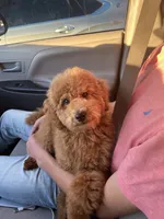 processed/ced624f4-6c3b-4545-824d-467a06850559/facility/766241ac-374e-46a4-ae23-79228291dcac