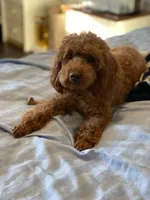 processed/ced624f4-6c3b-4545-824d-467a06850559/facility/810b6bab-2d27-4aaf-bf1a-607442aa258f