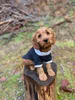 processed/ced624f4-6c3b-4545-824d-467a06850559/facility/8ce14deb-3671-4ddc-94ed-ad2266c815e4