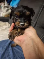 processed/cedc45ab-38a5-4dfc-b858-f3c2f3bd363e/listing/742e94ae-0585-4e55-97f7-0a5dd8407ccf/0bc72fa7-afe1-462c-9e53-f91173358e91