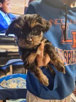 processed/cedc45ab-38a5-4dfc-b858-f3c2f3bd363e/listing/742e94ae-0585-4e55-97f7-0a5dd8407ccf/0ddcde6a-7ef5-4401-a467-699dac69690d