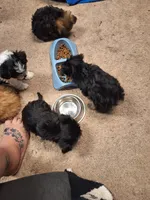 processed/cedc45ab-38a5-4dfc-b858-f3c2f3bd363e/listing/742e94ae-0585-4e55-97f7-0a5dd8407ccf/7417c91a-4726-4694-8210-2986673b60ab