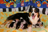 processed/cee253ca-fedf-4368-ba35-a6a256e6bfc2/facility/029a3a32-7d89-4106-a71b-cc10199e5a37