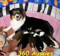 processed/cee253ca-fedf-4368-ba35-a6a256e6bfc2/facility/044e42bb-b587-4a6f-a07b-11cad2761e3d