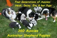 processed/cee253ca-fedf-4368-ba35-a6a256e6bfc2/facility/186cdc55-41a4-4e96-bd52-366bb0791afc