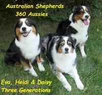 processed/cee253ca-fedf-4368-ba35-a6a256e6bfc2/facility/1edfdf2b-4c46-495e-8079-073a893f5779