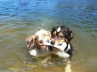 processed/cee253ca-fedf-4368-ba35-a6a256e6bfc2/facility/5dd09811-8db2-445c-98a4-a685b73c8ec0