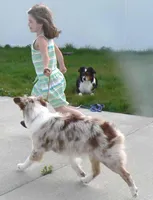 processed/cee253ca-fedf-4368-ba35-a6a256e6bfc2/facility/645ad241-2593-4d0e-a250-1ca6adaeb649