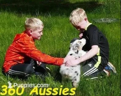 processed/cee253ca-fedf-4368-ba35-a6a256e6bfc2/facility/98f9b3eb-4276-4868-b3cf-9b4b5ec3f047