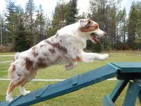 processed/cee253ca-fedf-4368-ba35-a6a256e6bfc2/facility/d52062b0-2f2f-4e41-8295-34b1f20d3ca8