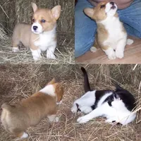 processed/cefa971c-711b-48a8-a9b1-0f71c3150ec0/facility/00aa9248-7835-4026-aad0-2616d14cf236