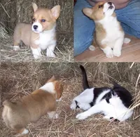 processed/cefa971c-711b-48a8-a9b1-0f71c3150ec0/facility/00aa9248-7835-4026-aad0-2616d14cf236