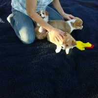 processed/cefa971c-711b-48a8-a9b1-0f71c3150ec0/facility/1a7500b6-ad1c-488d-9cd3-c1f81b8921c0