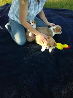 processed/cefa971c-711b-48a8-a9b1-0f71c3150ec0/facility/1a7500b6-ad1c-488d-9cd3-c1f81b8921c0