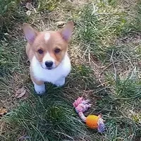 processed/cefa971c-711b-48a8-a9b1-0f71c3150ec0/facility/1df9b6ce-5617-456c-8114-64270b213029