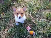 processed/cefa971c-711b-48a8-a9b1-0f71c3150ec0/facility/1df9b6ce-5617-456c-8114-64270b213029