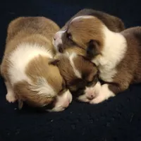 processed/cefa971c-711b-48a8-a9b1-0f71c3150ec0/facility/4fb77ecd-998d-4796-a6ad-53d320197fa2