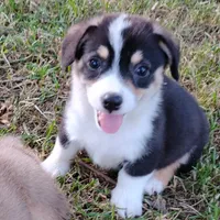 processed/cefa971c-711b-48a8-a9b1-0f71c3150ec0/facility/507e5fa7-d883-4c40-9462-1ac60dbbf61e