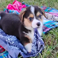 processed/cefa971c-711b-48a8-a9b1-0f71c3150ec0/facility/69935593-cf8f-48f6-b026-454e6dca26d9