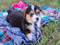 processed/cefa971c-711b-48a8-a9b1-0f71c3150ec0/facility/69935593-cf8f-48f6-b026-454e6dca26d9