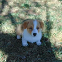 processed/cefa971c-711b-48a8-a9b1-0f71c3150ec0/facility/6beffa1a-6980-4436-8737-570b84c40465