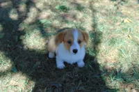 processed/cefa971c-711b-48a8-a9b1-0f71c3150ec0/facility/6beffa1a-6980-4436-8737-570b84c40465