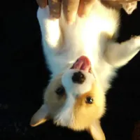 processed/cefa971c-711b-48a8-a9b1-0f71c3150ec0/facility/bf281e7b-d047-4716-9c63-eec54a27a154