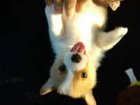 processed/cefa971c-711b-48a8-a9b1-0f71c3150ec0/facility/bf281e7b-d047-4716-9c63-eec54a27a154