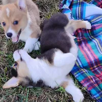 processed/cefa971c-711b-48a8-a9b1-0f71c3150ec0/facility/fa140326-2305-4746-8e54-c3bebbf373a6