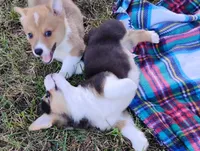 processed/cefa971c-711b-48a8-a9b1-0f71c3150ec0/facility/fa140326-2305-4746-8e54-c3bebbf373a6