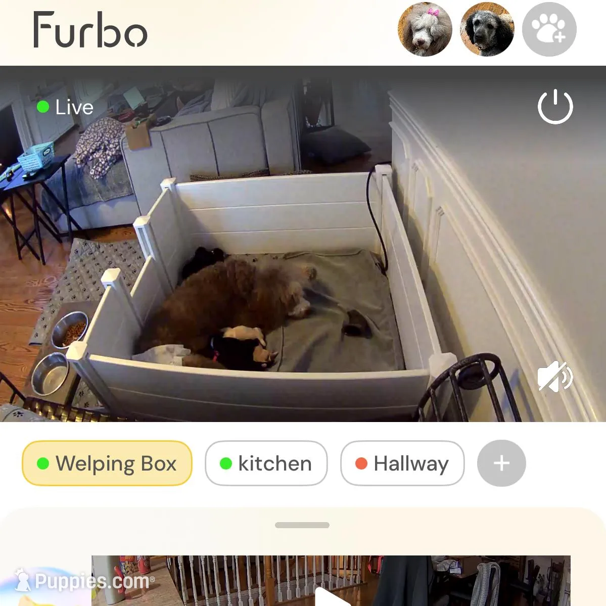processed/cefbcab3-ff89-46b7-a8fc-14ea7f7a5efc/facility/086a06cf-aec6-4903-8646-4889791a66d4