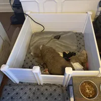 processed/cefbcab3-ff89-46b7-a8fc-14ea7f7a5efc/facility/9f26329e-24a3-4951-b865-d072458069bf