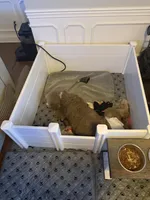 processed/cefbcab3-ff89-46b7-a8fc-14ea7f7a5efc/facility/9f26329e-24a3-4951-b865-d072458069bf