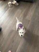 processed/cf0155da-3b69-4f9c-a945-29cccc256fcf/listing/cde1c961-784f-4551-b555-f0a8b9e0cbd5/0634d835-0607-460f-b912-865192e36f6a