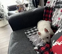 processed/cf0155da-3b69-4f9c-a945-29cccc256fcf/listing/cde1c961-784f-4551-b555-f0a8b9e0cbd5/279cd2dd-0a61-43c4-b47f-61584ab902f3