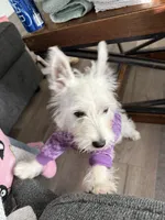 processed/cf0155da-3b69-4f9c-a945-29cccc256fcf/listing/cde1c961-784f-4551-b555-f0a8b9e0cbd5/94fa7894-aee9-44e4-a51d-1048670c1624